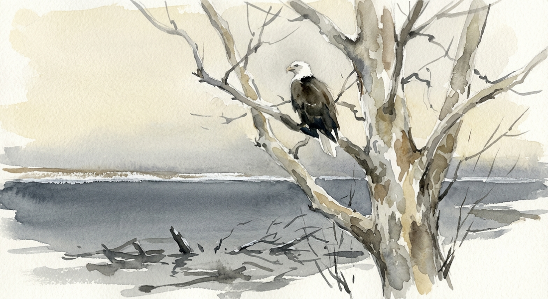 The Wintering Ground